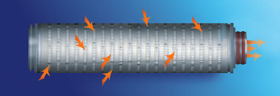 Membrane Cartridge Schematic