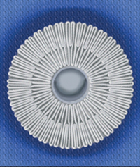 Platinum 500