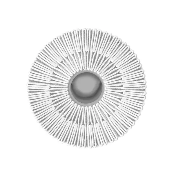 Giardia Removal Cartridge