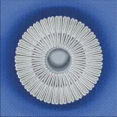 giardia_740_cartridge